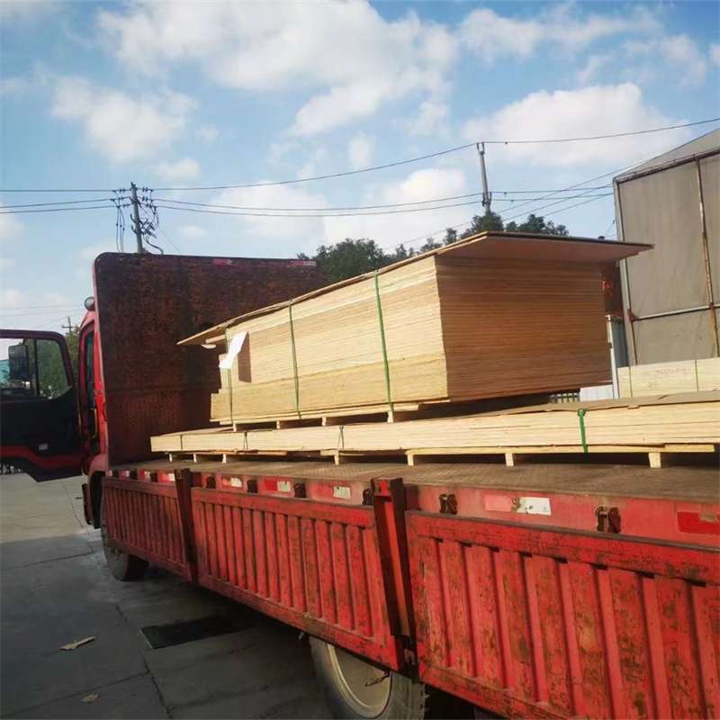 江苏南通通州至塔城货运专线，一站式物流服务助您成功